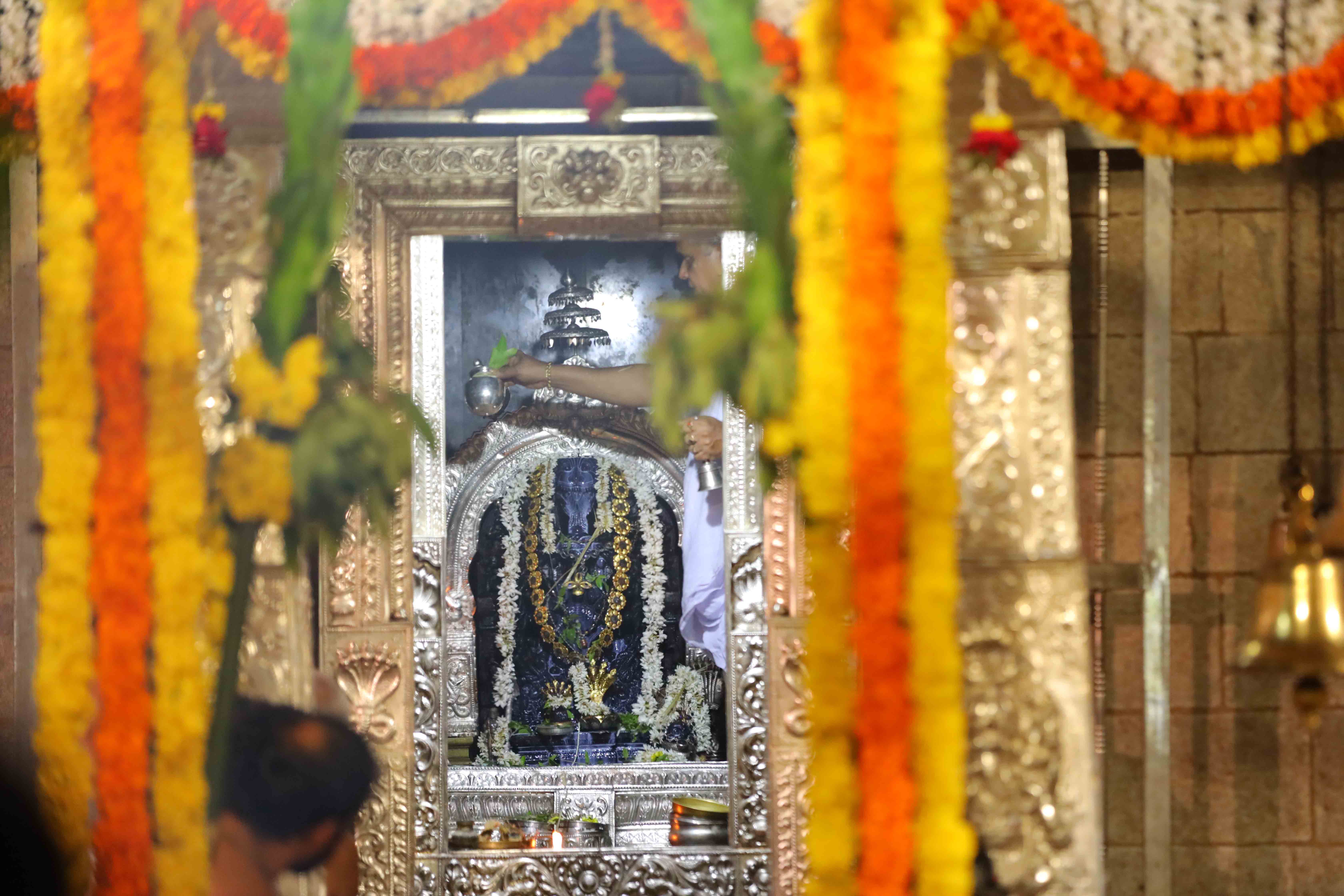 Sri Vasuki Subramanya - Sagri