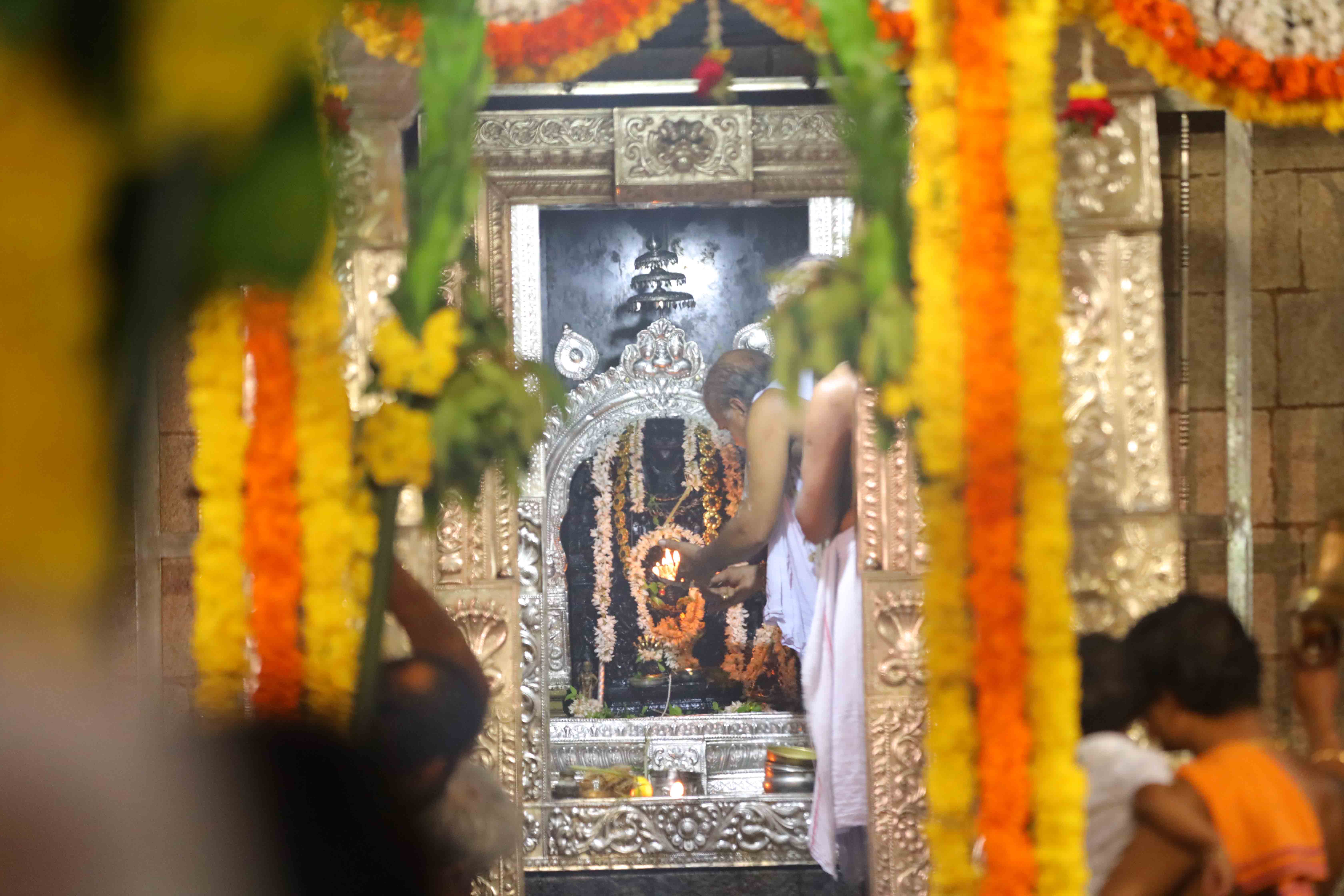 Sri Vasuki Subramanya - Sagri