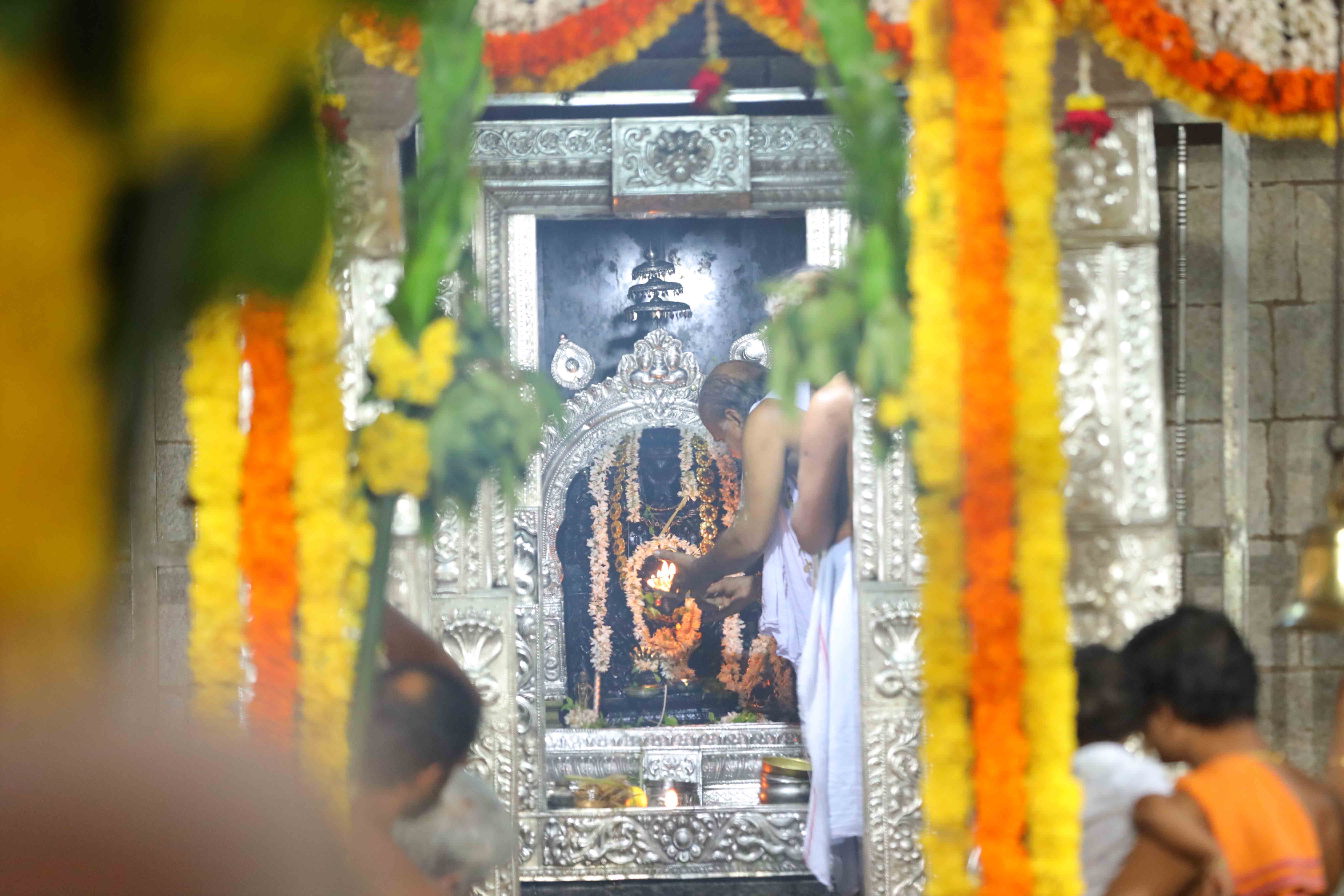 Sri Vasuki Subramanya - Sagri