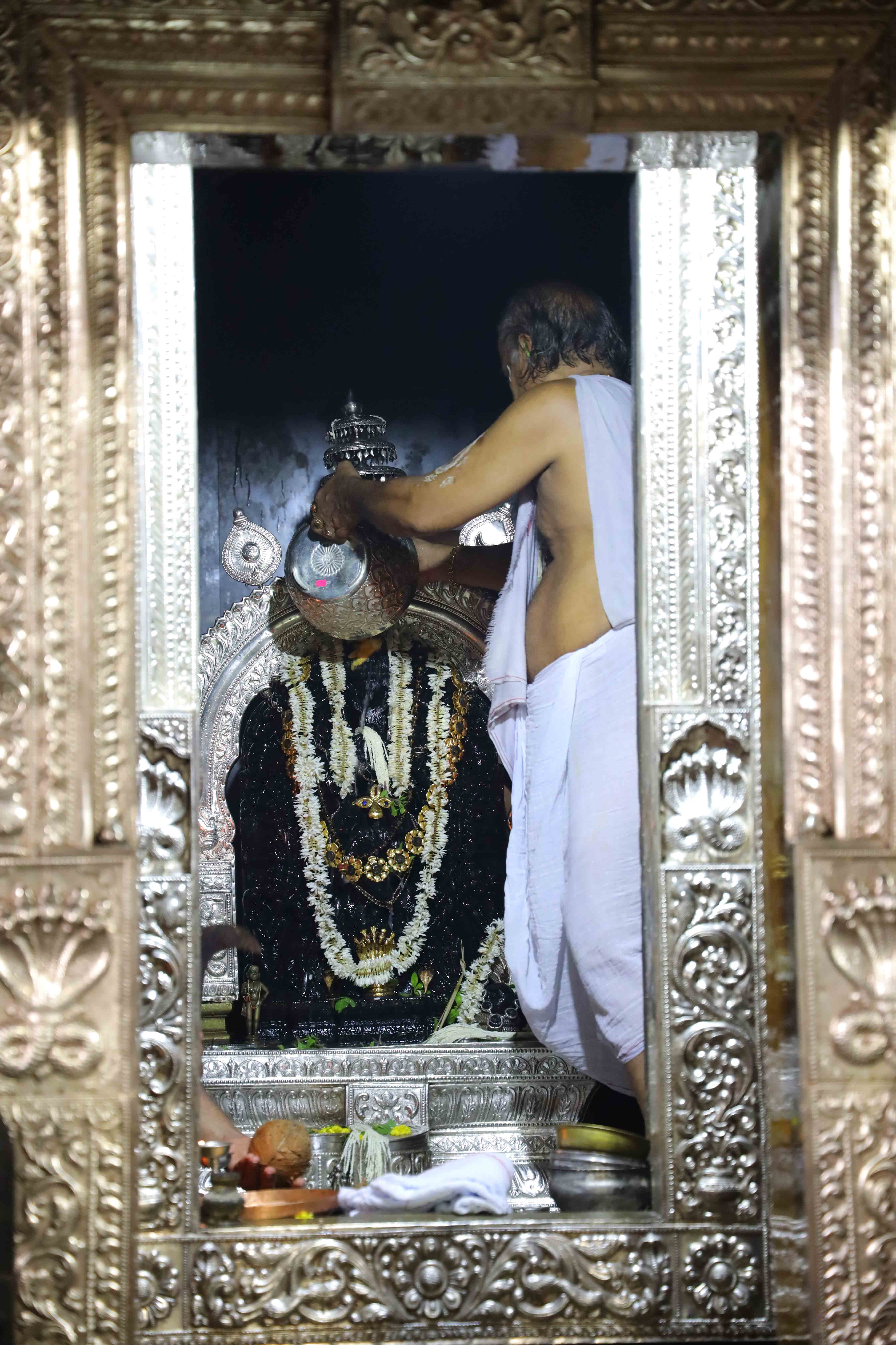 Sri Vasuki Subramanya - Sagri